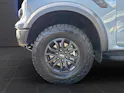 Ford Ranger Doppel-Kabine Pick-up 3.0i-V6-EcoBoost (292 PS) 4x4 Raptor