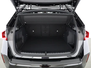 immagine del veicolo BMW X1 30e xDrive paddles