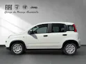 Fiat PANDINA