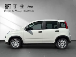 Fiat PANDINA