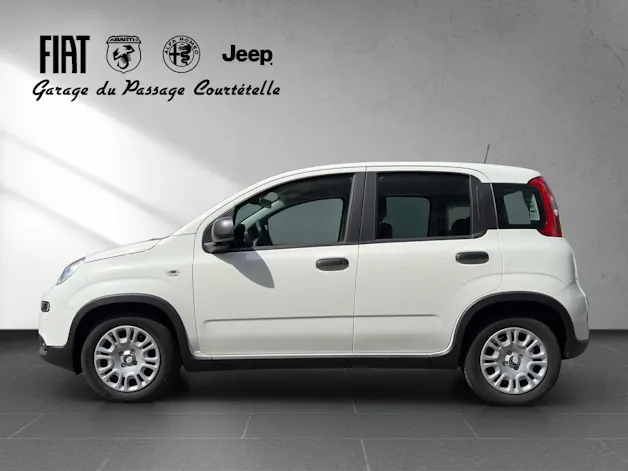 Fiat PANDINA