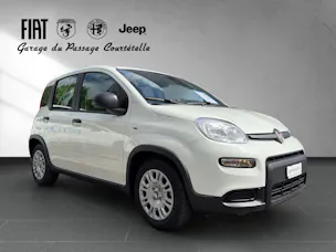Fiat PANDINA