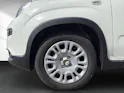 Fiat PANDINA