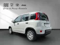Fiat PANDINA