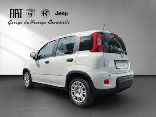 Fiat PANDINA