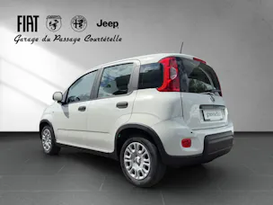 Fiat PANDINA