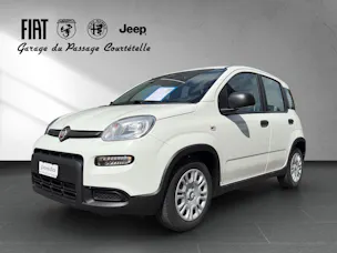 Fiat PANDINA