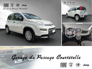 Fiat PANDINA