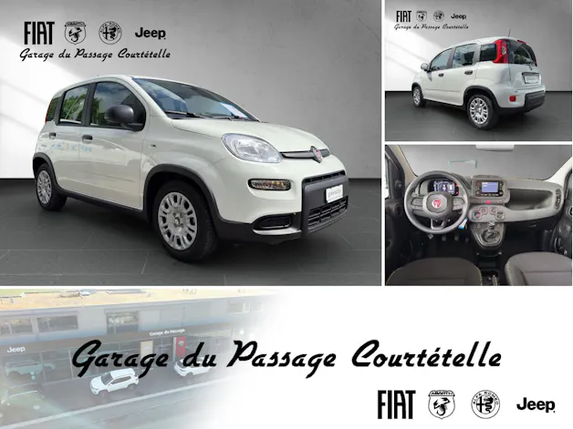Fiat PANDINA