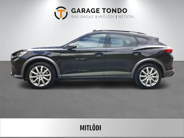 Cupra Formentor 2.0 TSI VZ 4Drive DSG