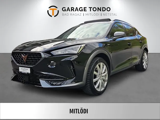 Cupra Formentor 2.0 TSI VZ 4Drive DSG