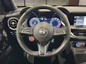 Alfa Romeo Stelvio 2.9 V6 Biturbo Q4 Quadrifoglio