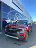 Ford Ranger dcab.pick-up 3.0 EcoBlu Wildtrack/240CV/Aut.