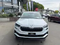 Škoda Karoq 2.0 TDI CR Selection 4x4 DSG