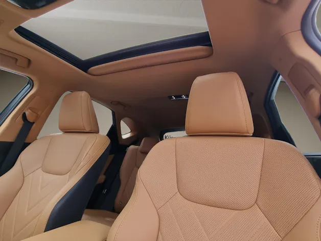 Lexus NX 450h+ Excellence