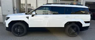 Hyundai Santa Fe 1.6 T-GDi HEV Calligraphy Swiss Edition