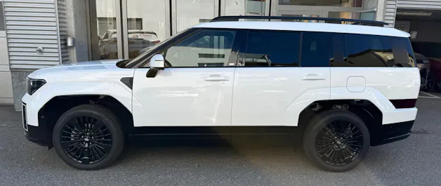 Hyundai Santa Fe 1.6 T-GDi HEV Calligraphy Swiss Edition