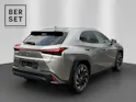 Lexus UX 250h F-Line