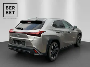 Lexus UX 250h F-Line