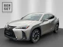Lexus UX 250h F-Line