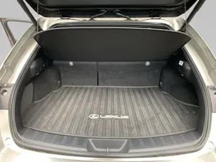 Lexus UX 250h F-Line