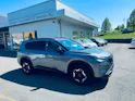Nissan X-Trail 1.5 VC-T e-Power 4WD 7 Sitze N-Trek