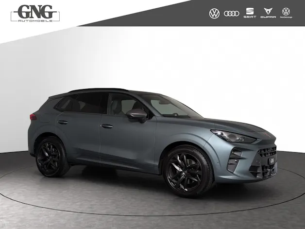 Cupra Terramar 2.0 TSI DSG 4Drive Americas CUP