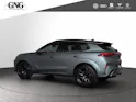 Cupra Terramar 2.0 TSI DSG 4Drive Americas CUP