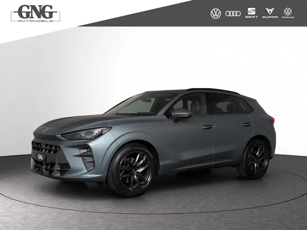 Cupra Terramar 2.0 TSI DSG 4Drive Americas CUP
