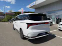 FORTHING 9 1.5T PHEV 7 Sitze Full Option Plugin