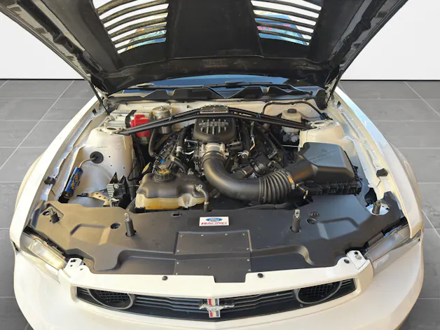 Ford Mustang Boss 302 S