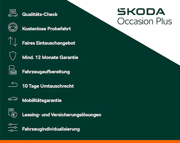 Škoda Fabia 1.0 TSI Dynamic DSG