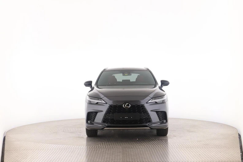 Fahrzeugbild LEXUS RX