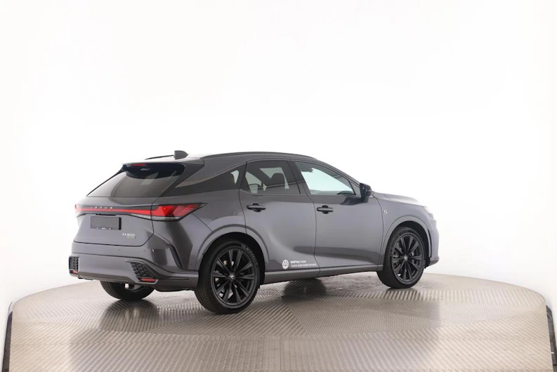Fahrzeugbild LEXUS RX