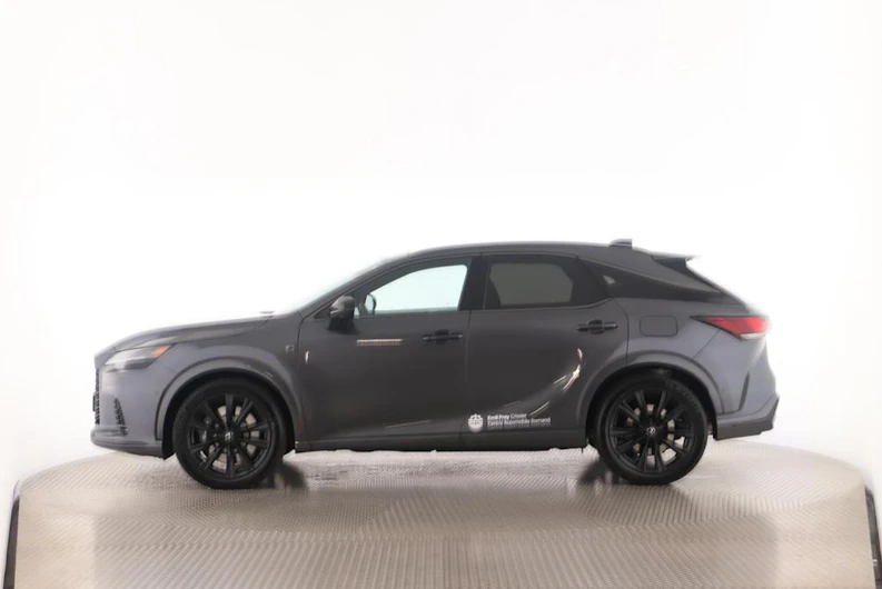 Fahrzeugbild LEXUS RX