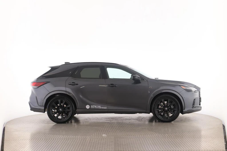 Fahrzeugbild LEXUS RX