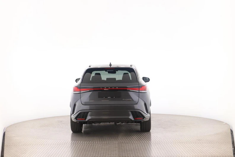 Fahrzeugbild LEXUS RX