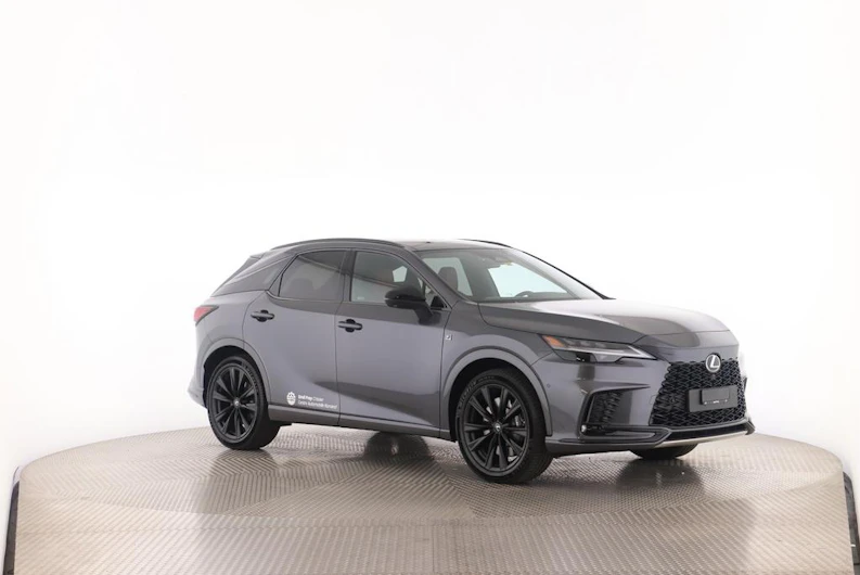Fahrzeugbild LEXUS RX