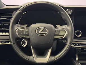 Lexus RX 450h+ Excellence