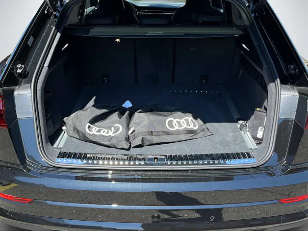 Audi Q8 SUV 290 kW TFSI/elektrisch
