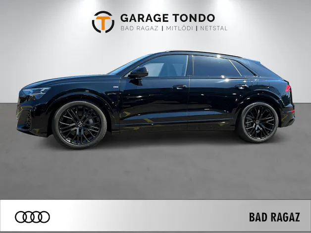 Audi Q8 SUV 290 kW TFSI/elektrisch