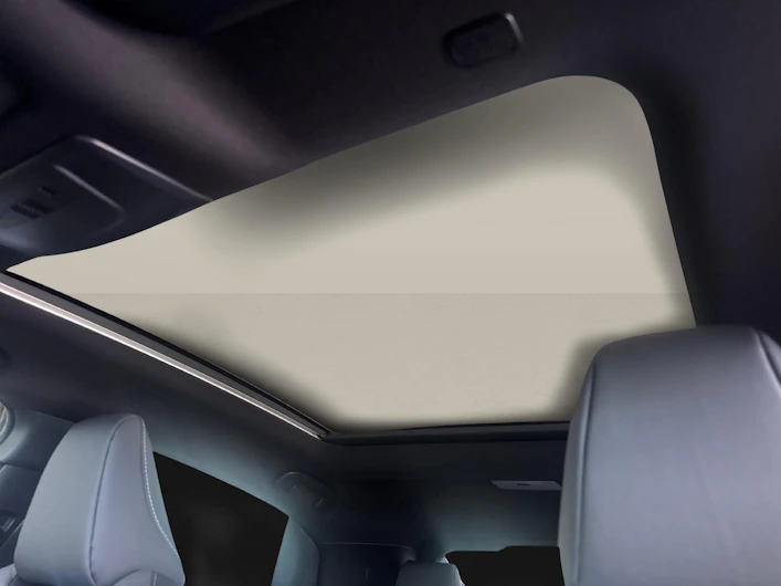 immagine del veicolo TOYOTA C-HR