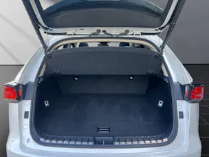 Lexus NX 300h
