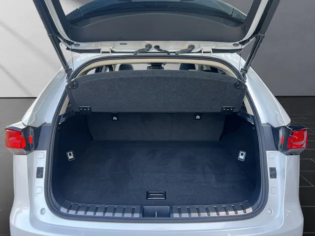 Lexus NX 300h