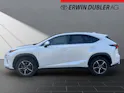 Lexus NX 300h