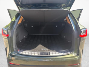 image du véhicule LEXUS NX 450h+ Excellence