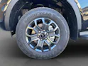 Ford Ranger D-Kab. Pick-up 2.0 EcoBlue 4x4 205 PS Wildtrak