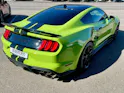 Ford Shelby GT500