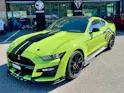 Ford Shelby GT500