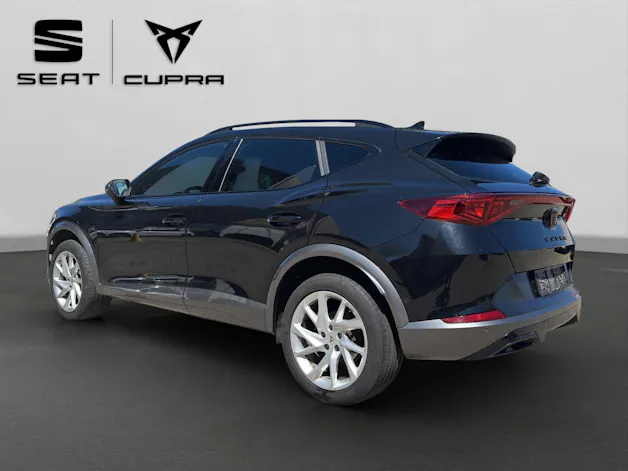 Cupra Formentor 2.0TSI 4Drive DSG